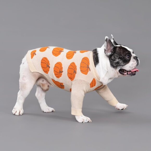 Warm Pumpkin Dog Sweater for Small Breeds - Ideal for Thanksgiving & Fall Days - Picture 2 of 8